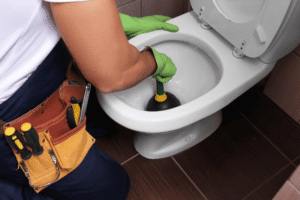 Blocked Toilets