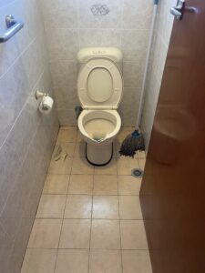 Toilet Repairs & Installation